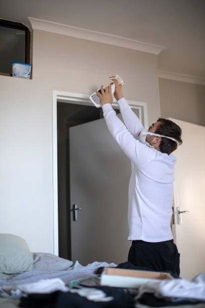 Professional Mold Removal in Wadsworth, OH